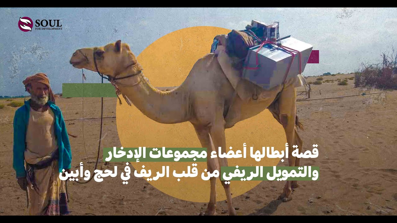 قصة أبطالها أعضاء مجموعات الإدخار والتمويل الريفي من قلب الريف في لحج وأبين