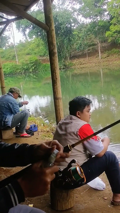 mancing mania #mancing #mancingceria #mancingikan #mancingmania #mamcingliar #fishing #mancingmantap