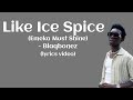 Blaqbonez - Like Ice Spice (Emeka Must Shine) lyrics video