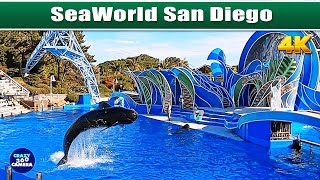 Visiting SeaWorld San Diego California with Eli 4K