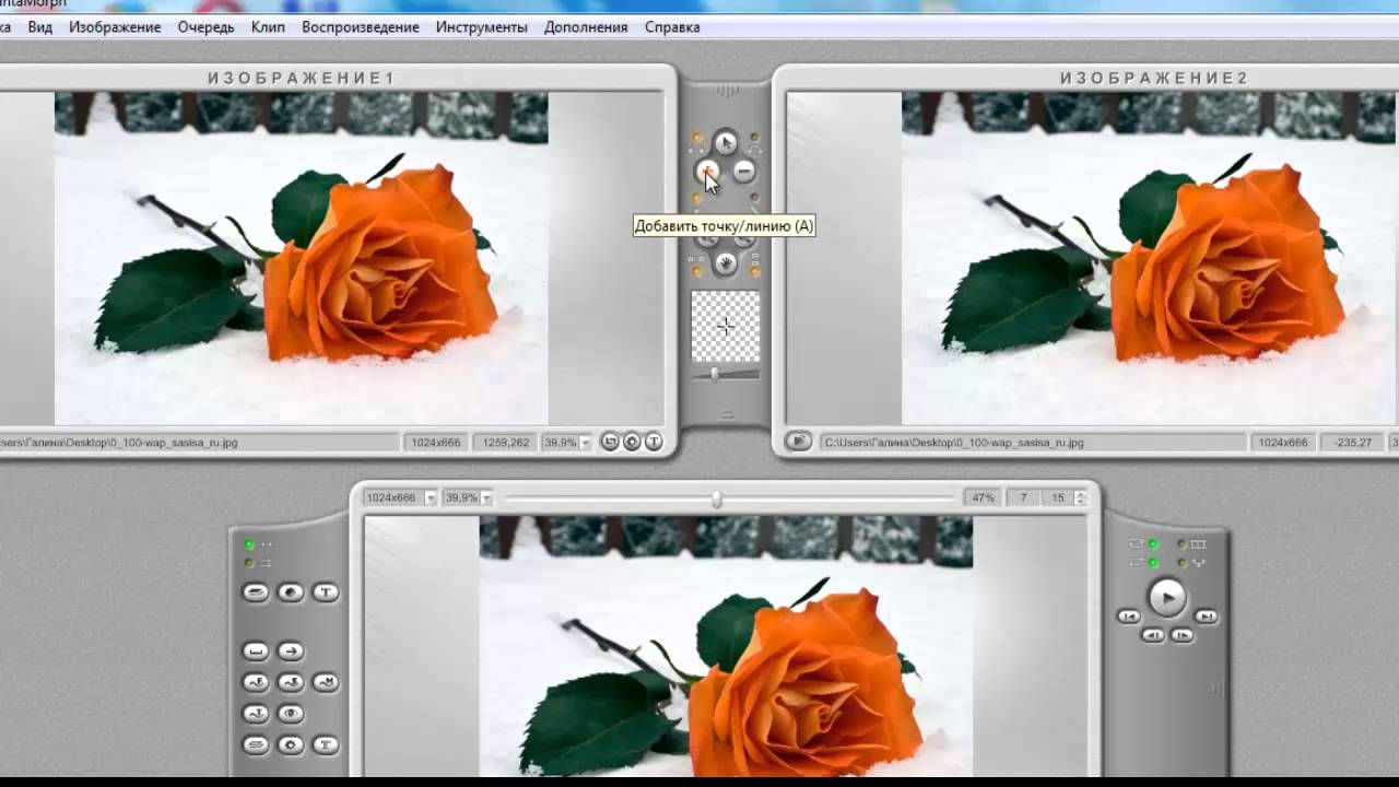 Работа в программе Abrosoft FantaMorph5