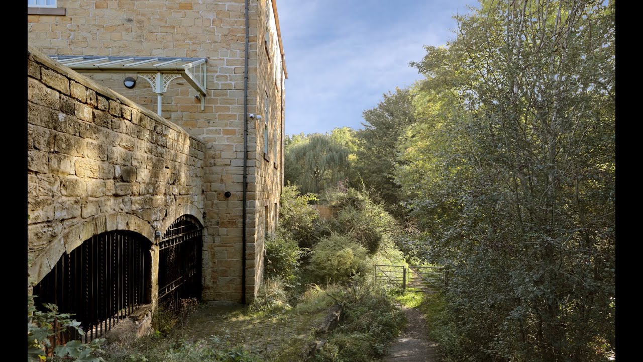 2021 10 04 Butterley, Golden Valley, Cromford Canal and the Codnor Reservoir, with Daisy and Ruby.
