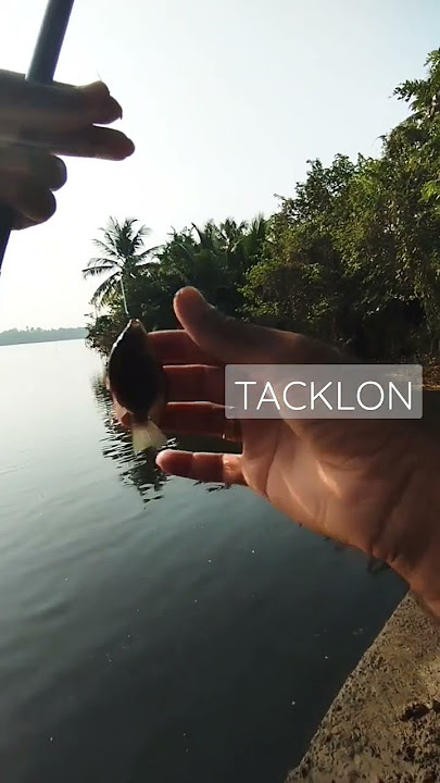 TACKLON FISHING 