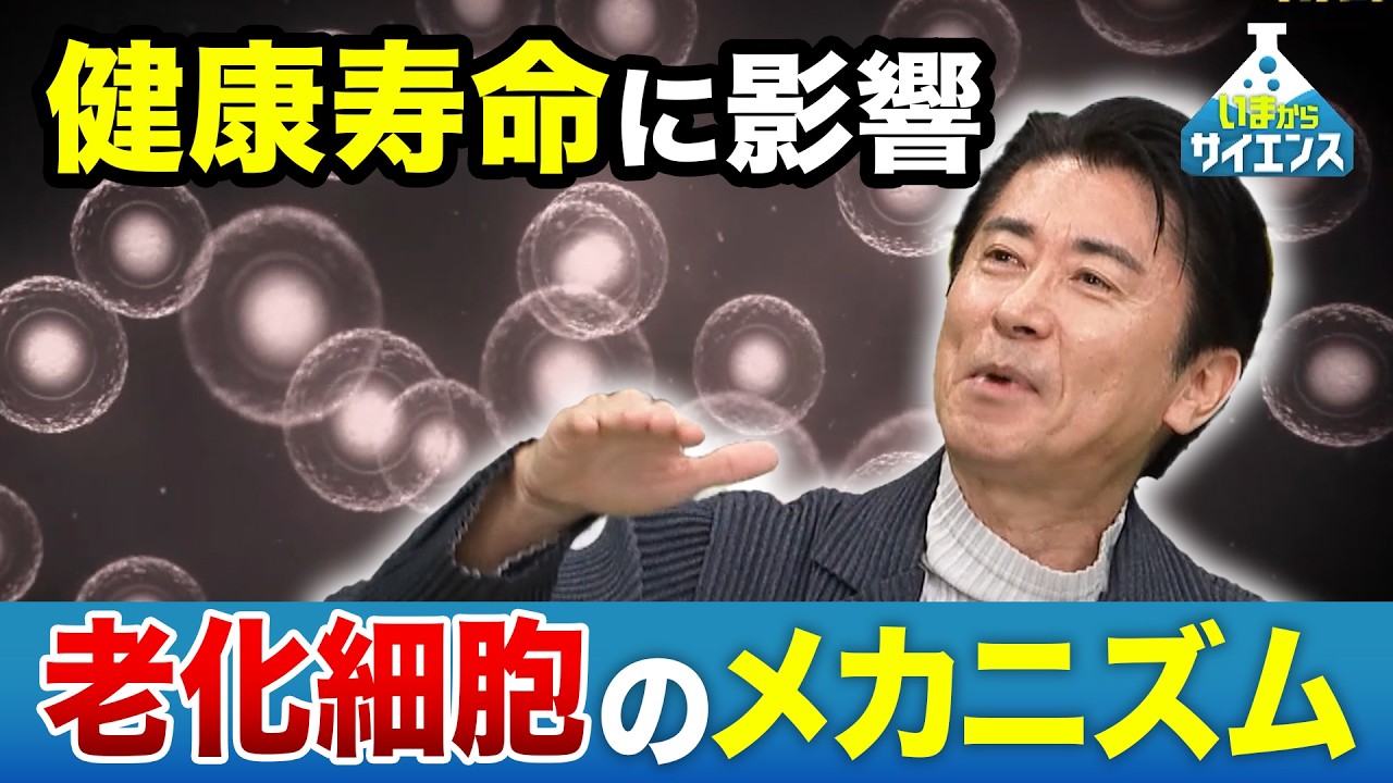健康寿命が延びる！？“老いを治療する方法”を開発！ 南野徹（順天堂大学大学院医学研究科 循環器内科 教授）【いまからサイエンス】