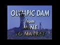 From the archives olympic dam from mine to market 1995