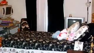 409 S Walnut St video tour