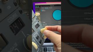 Qmdev plugin MacBook M2 X-Plane 12.08 fps impact of QMCP737C