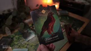 ¿QUÉ NECESITAS SABER AHORA? 🌙✨ Tarot Hoy