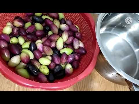 طريقه صنع الزيت الزيتون في المنزل بطريقه سهله وبسيطه