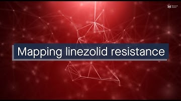 Mapping linezolid resistance in humans, animals and the environment