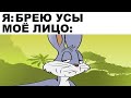 Мемы | Дневная подборка мемов 116