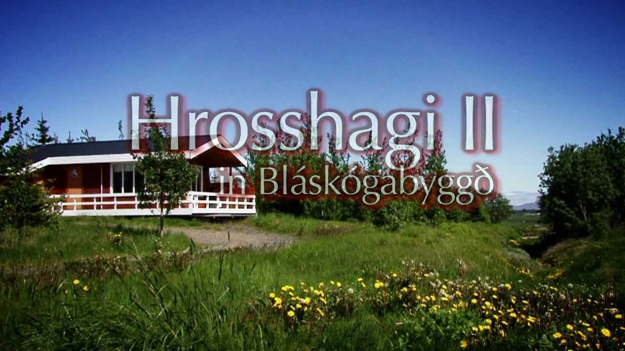 Cottage Hrosshagi II in Bláskógabyggð Iceland - Icelandic Farm Holidays — Bláskógabyggð — video poster