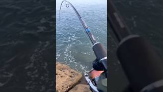 Balık Varsa Keyif Var Ikavı