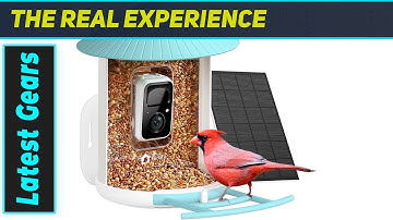 Best Smart Bird Feeder? NETVUE Birdfy Review