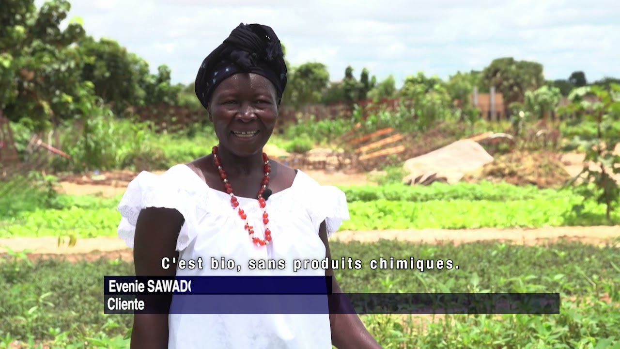 Réhabilitation de la ceinture verte de Ouagadougou
