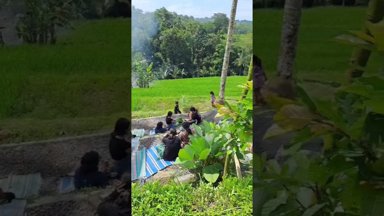 WARUNG KOPI TENGAH SAWAH || JATILUWIH TABANAN BALI 