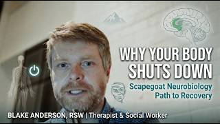 The Neurobiology of the Scapegoat: Traumatic Dissonance & Dorsal Shutdown