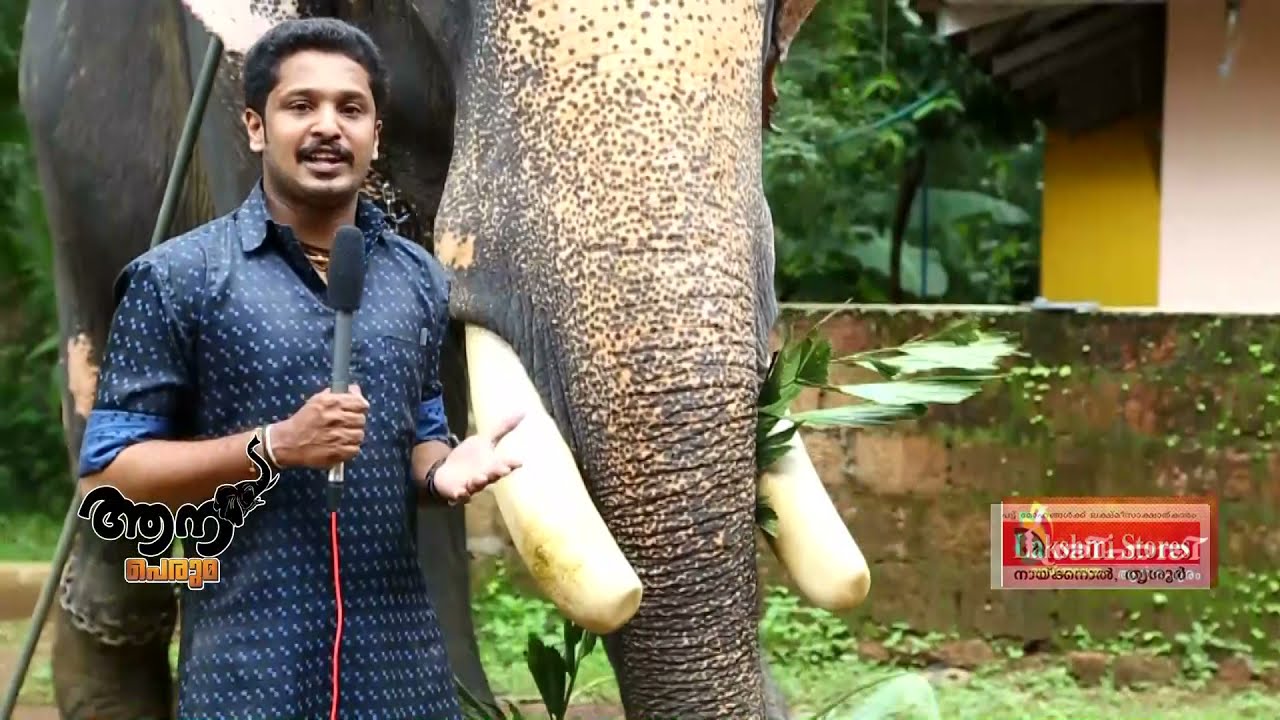Thiruvegappura Maheswaran ( aana peruma episode -17 )