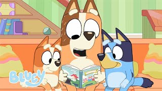 LIVE: Storytime with Bluey and Bingo | Bluey