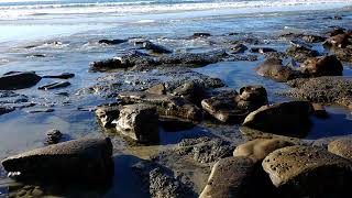 Scripps Pier Tide Pool Field Trip, Geomorphology