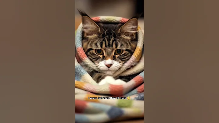 Watch the video about Maine Coon Cat #mainecoon #cats #animals