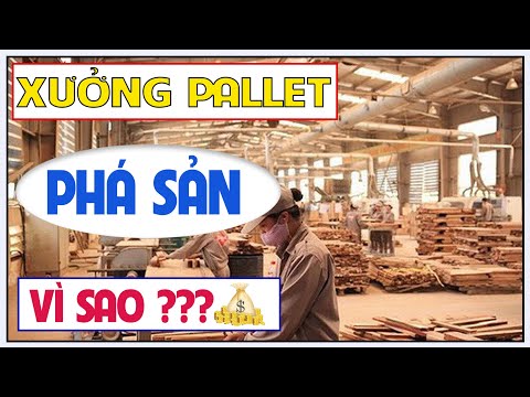 Video: Có bao nhiêu viên gạch trong một pallet - bạn cần biết điều này để vận chuyển hàng hóa