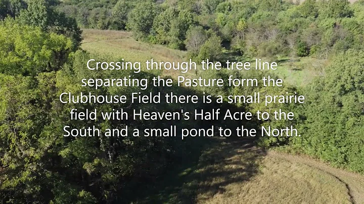 Sandy Run Hunt Co. Upland Fields:  The Pasture Fie...