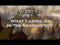 Phil kelly explains warcrys new setting