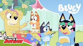 Probleme La Salon Blue Disney Junior România