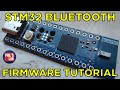 STM32 Bluetooth Firmware Tutorial (Bring-Up) - Phil's Lab #129