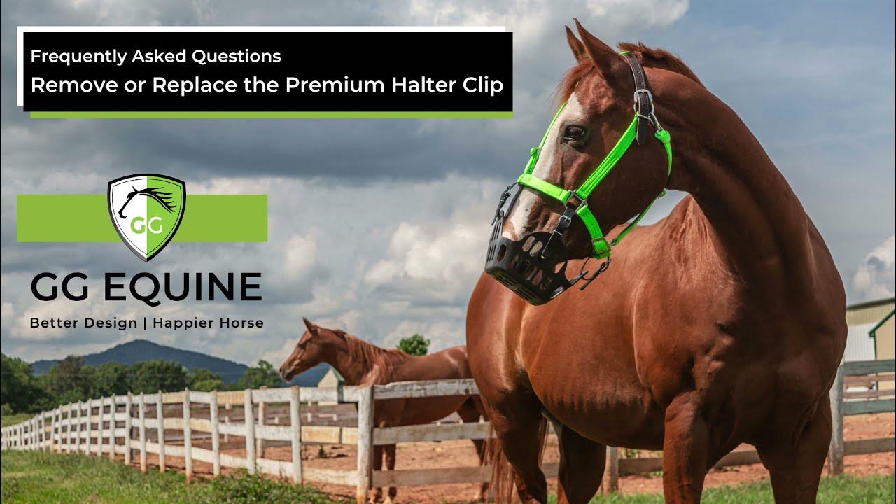 How to Remove or Replace the Halter Clip on a GG Equine Premium Halter 