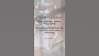 Ayat 1000 Dinar ❤️
