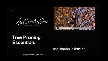 Tree Pruning Essentials