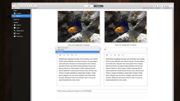 Easy CMS v1.3.0 Update for RapidWeaver