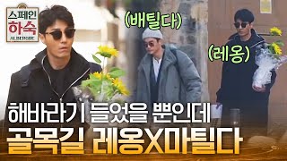 Korean Hostel in Spain 레옹 승원과 마틸다 정남의 장보기 런웨이 190322 EP.2