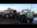 Kūtsmēslu kaisīšana un aršana divās saimniecībās [3x Belarus/T150K/Kverneland]