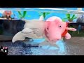 Peppa Pig Nada con los Delfines en la Piscina del Acuario de Playmobil - Juguetes Playmobil