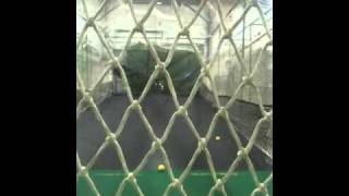 Sammy Paoli 50 mph batting cage age 8 screenshot 4