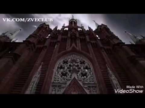 Звери клип с бентли