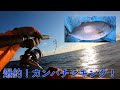 銚子沖　カンパチジギング！