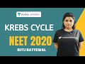 Krebs Cycle | Plant Respiration - NCERT Review | NEET 2020 | Ritu Rattewal