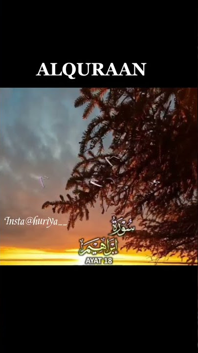 #alquran #islamic #instagram #youtubeshorts #youtube #facebook #viralshorts #viral