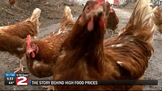 The story behind high food prices