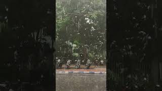 Rainy day||Kolkata||shorts viral ytshorts kolkata subscribe