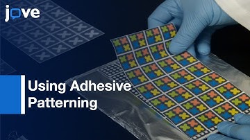 Using Adhesive Patterning To Construct 3D Paper Microfluidic Devices l Protocol Preview