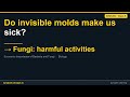 Fungi: harmful activities | ICSE-ISC Class 9 Biology | Synapse