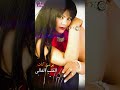 بوسي كات القلب الغالي 