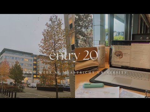 psychology exam week at maastricht university | entry 20