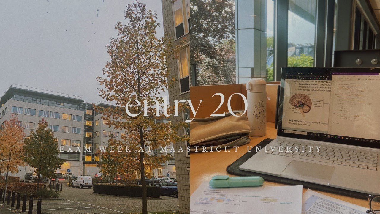 academic-calendar-maastricht-university-2023-faculty-of-law