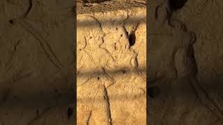 6 Bin Yıl Önceye Giden O Kabartmalar Iş Kent